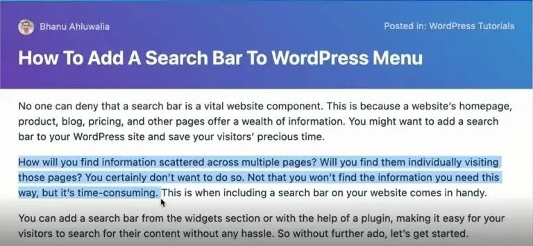 search bar to wordpress menu